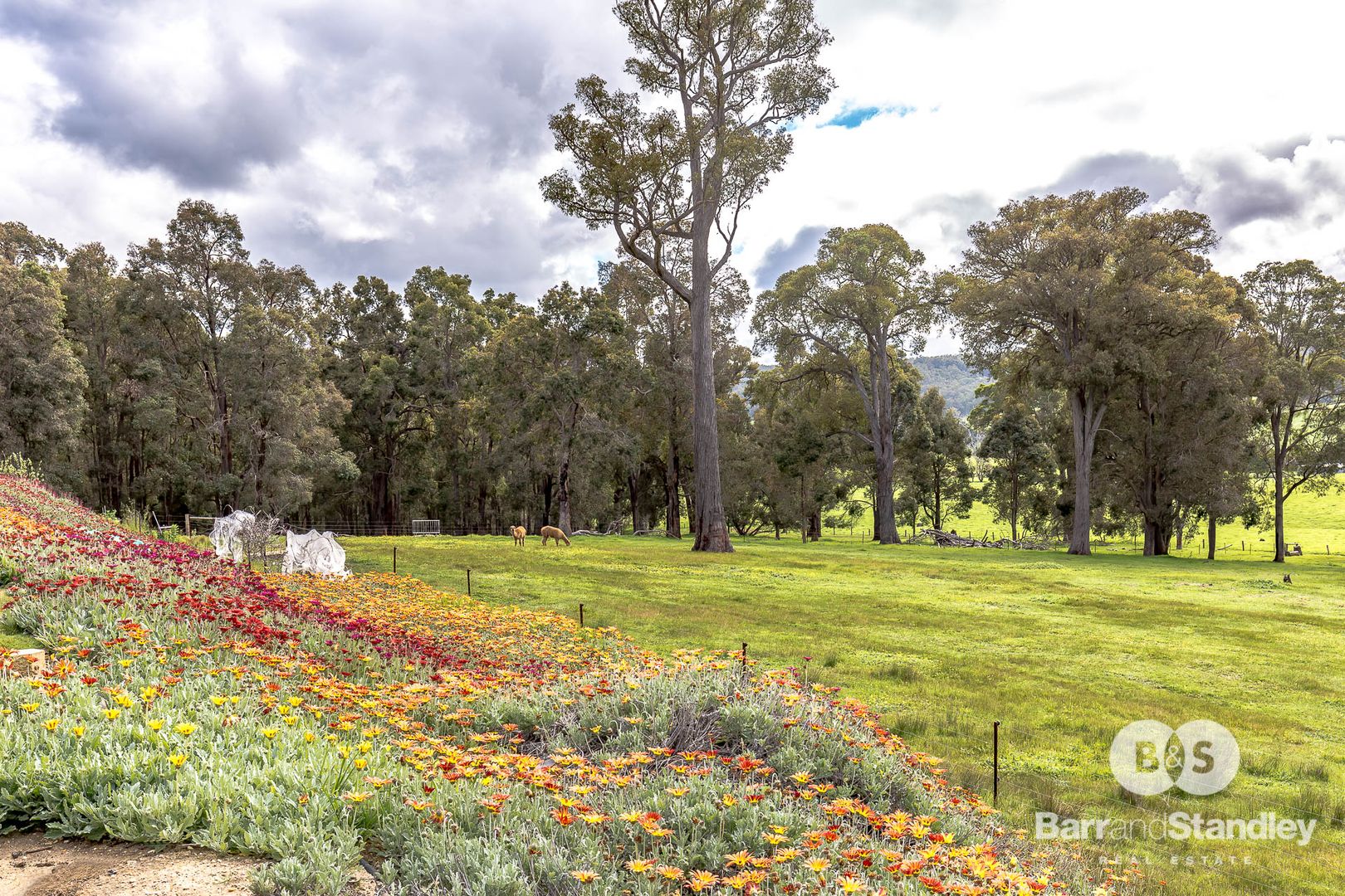 Glen Mervyn WA 6239, Image 1