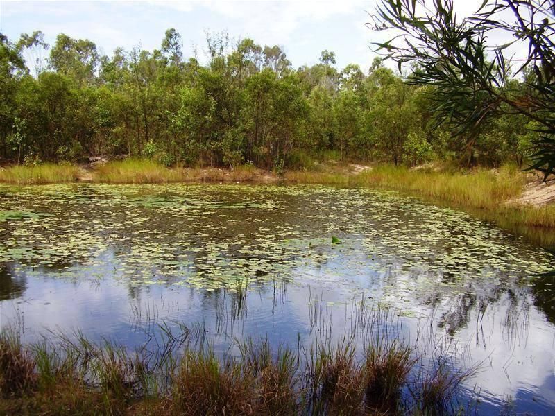 Mount Maria QLD 4674, Image 2