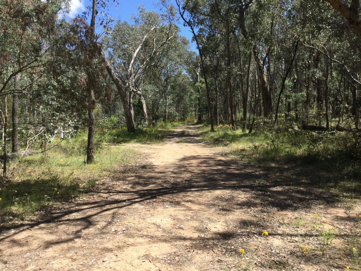 16B Chicks Track, Burrowye VIC 3709, Image 1