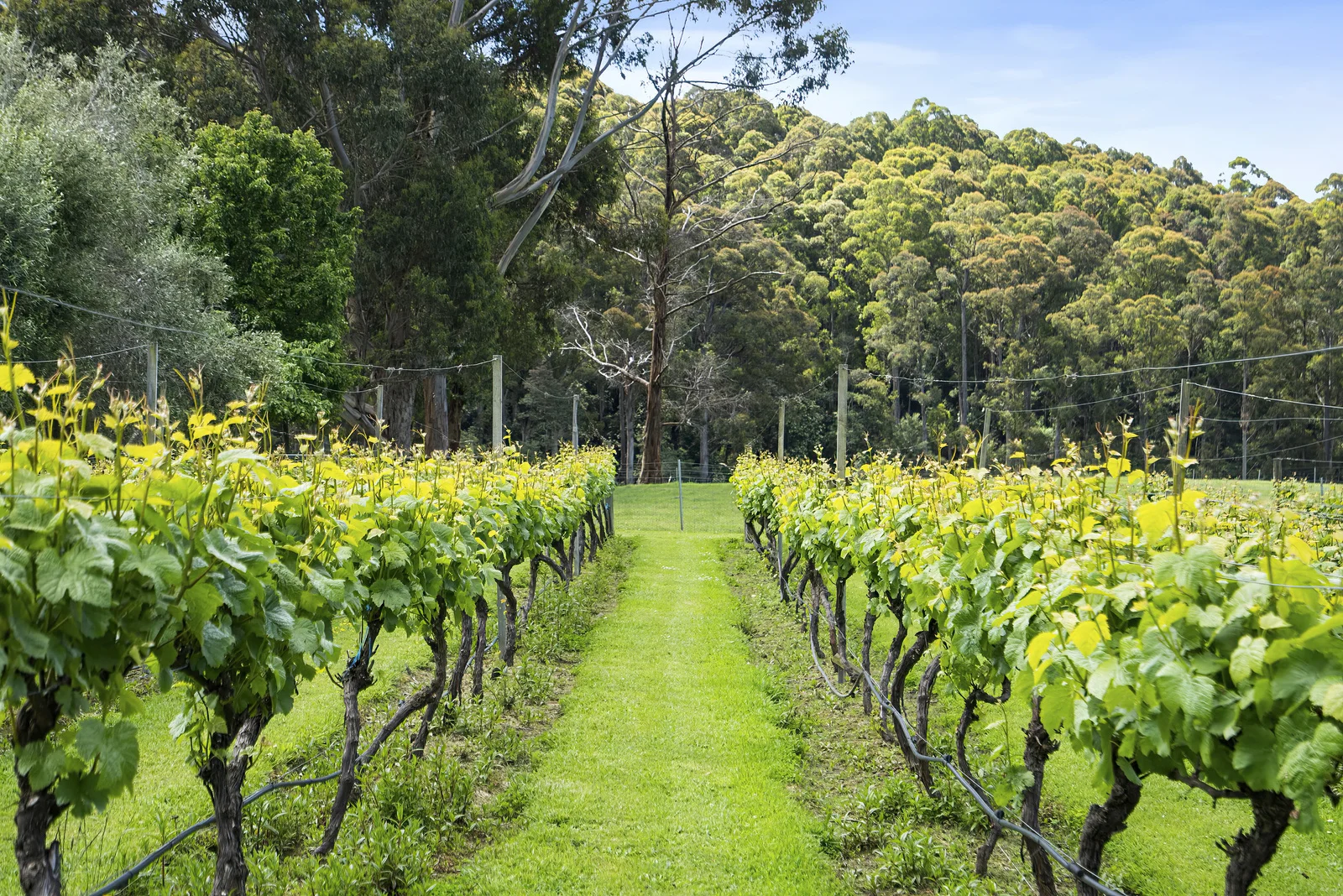 Additional image 30 of 164 Saddle Road, Kettering TAS 7155