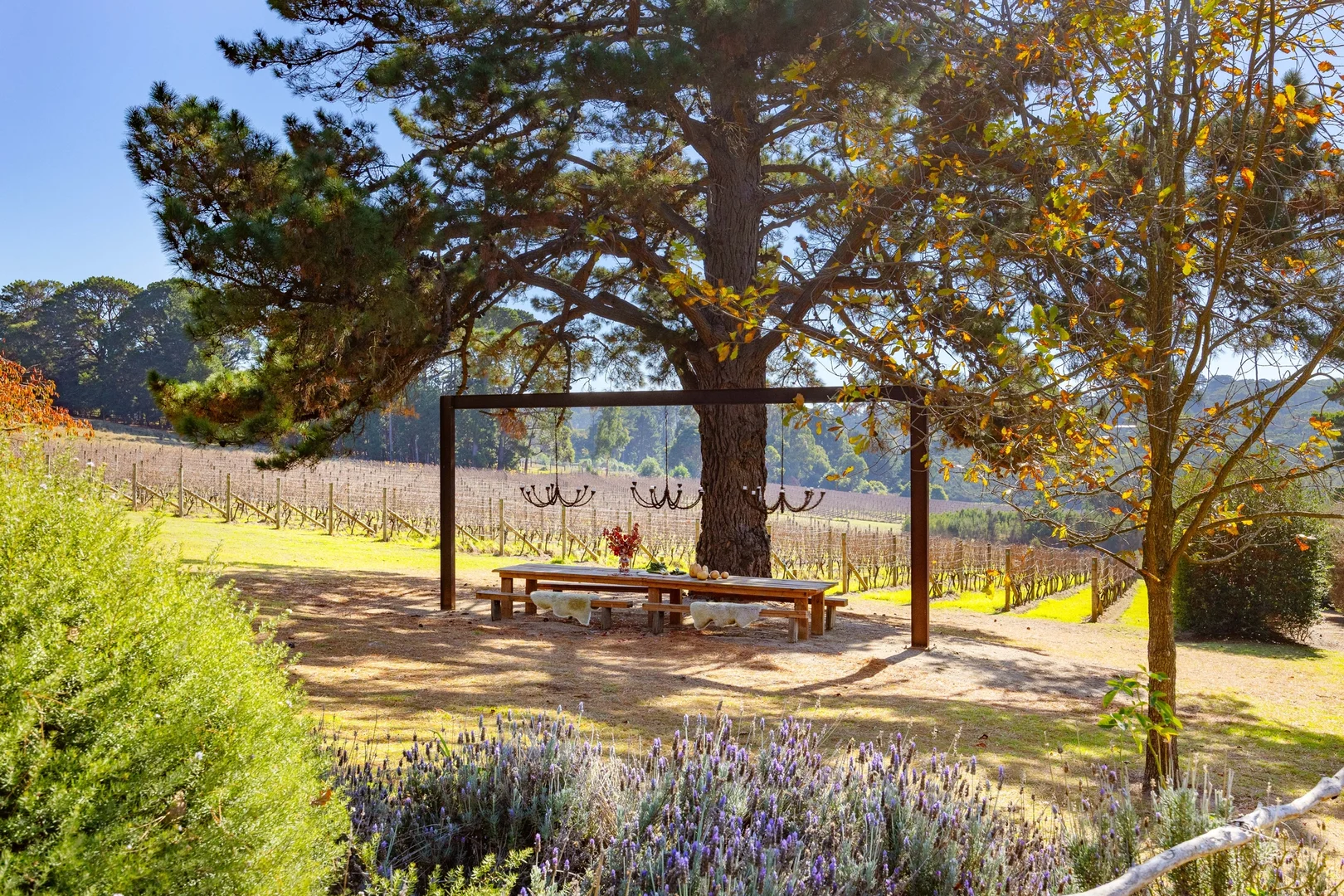 Additional image 17 of 206 Bittern-Dromana Road, Merricks North VIC 3926