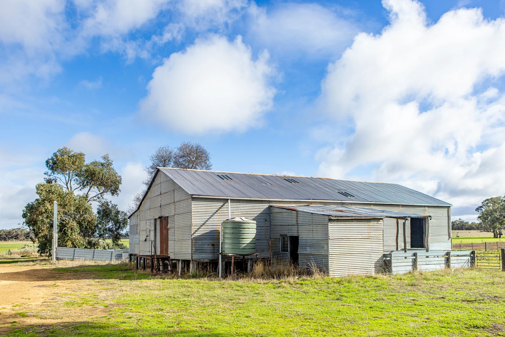Image 11