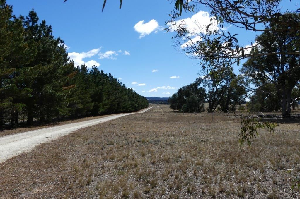 127 Lookdown Road, Bungonia NSW 2580, Image 1