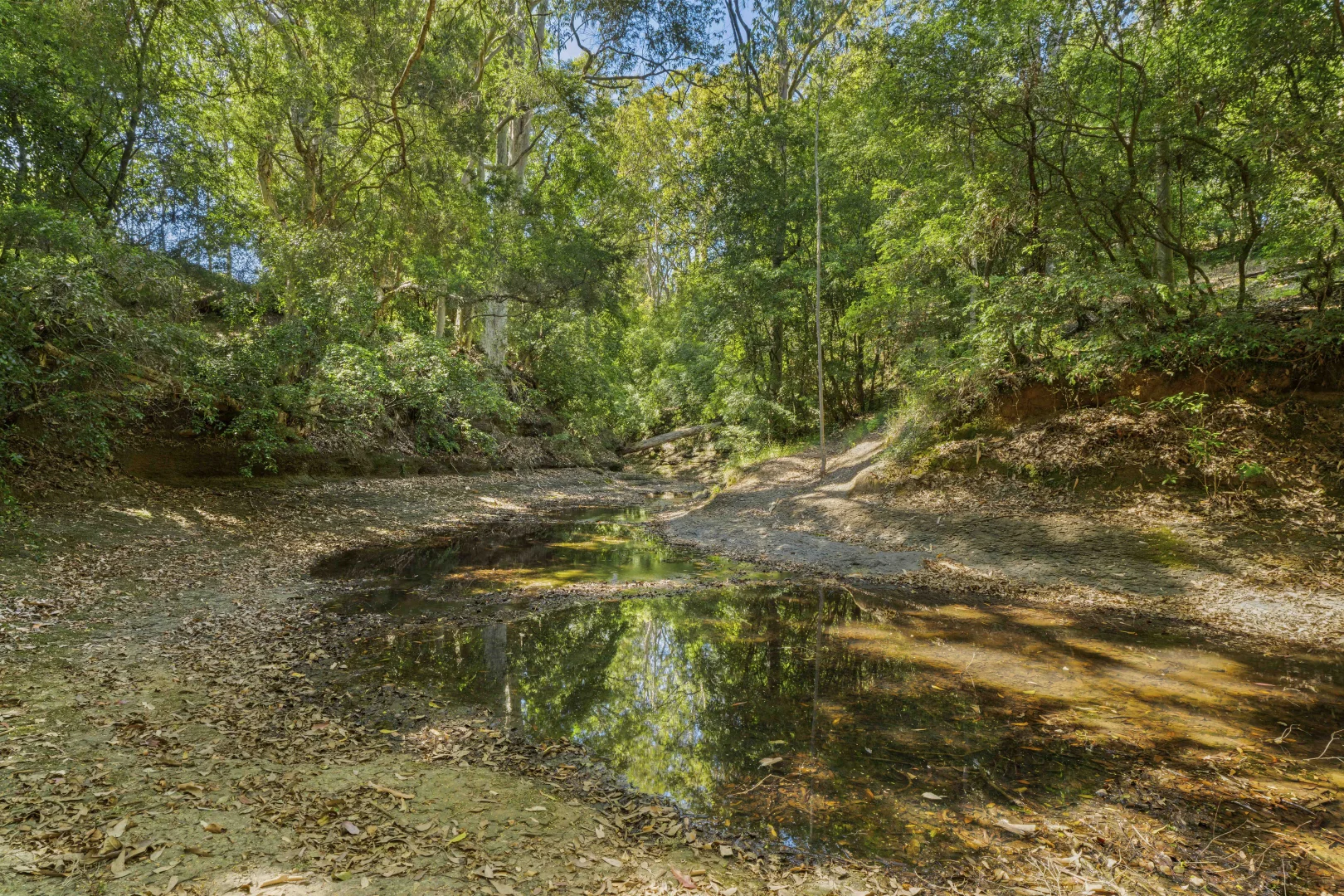 Image 8