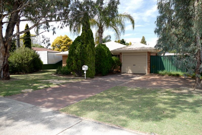 38 Golden Crescent, High Wycombe WA 6057, Image 0