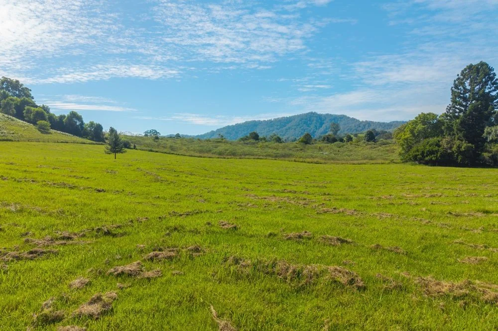 Additional image 15 of 728 Misssabotti Road, Missabotti NSW 2449