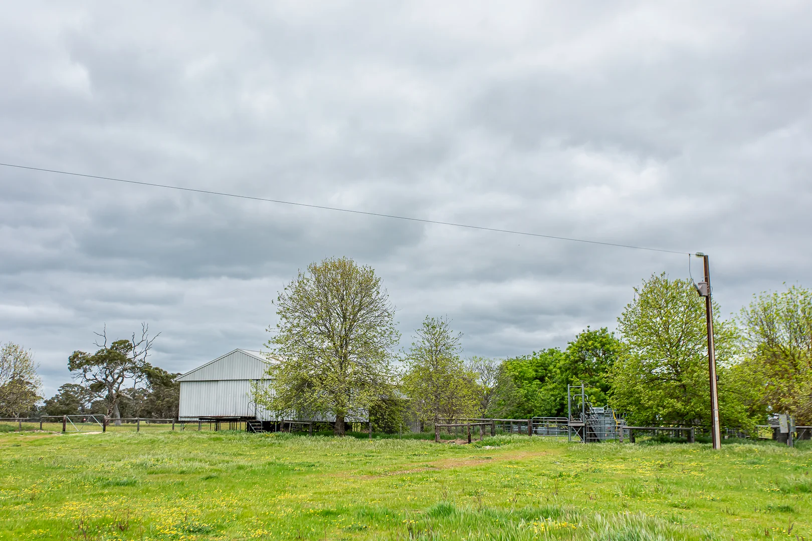 Image 21