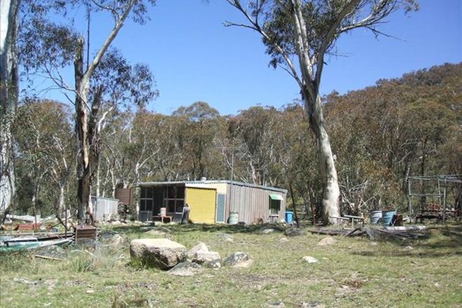 Picture of 1073 Yaouk Rd, SHANNONS FLAT NSW 2630