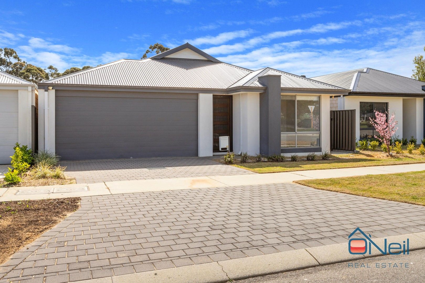 41 Shepparton Boulevard, Byford WA 6122 House For Rent 520 Domain