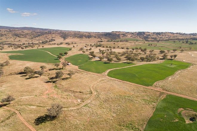 Picture of "Pepper Trees" Oakhampton Road, BARRABA NSW 2347