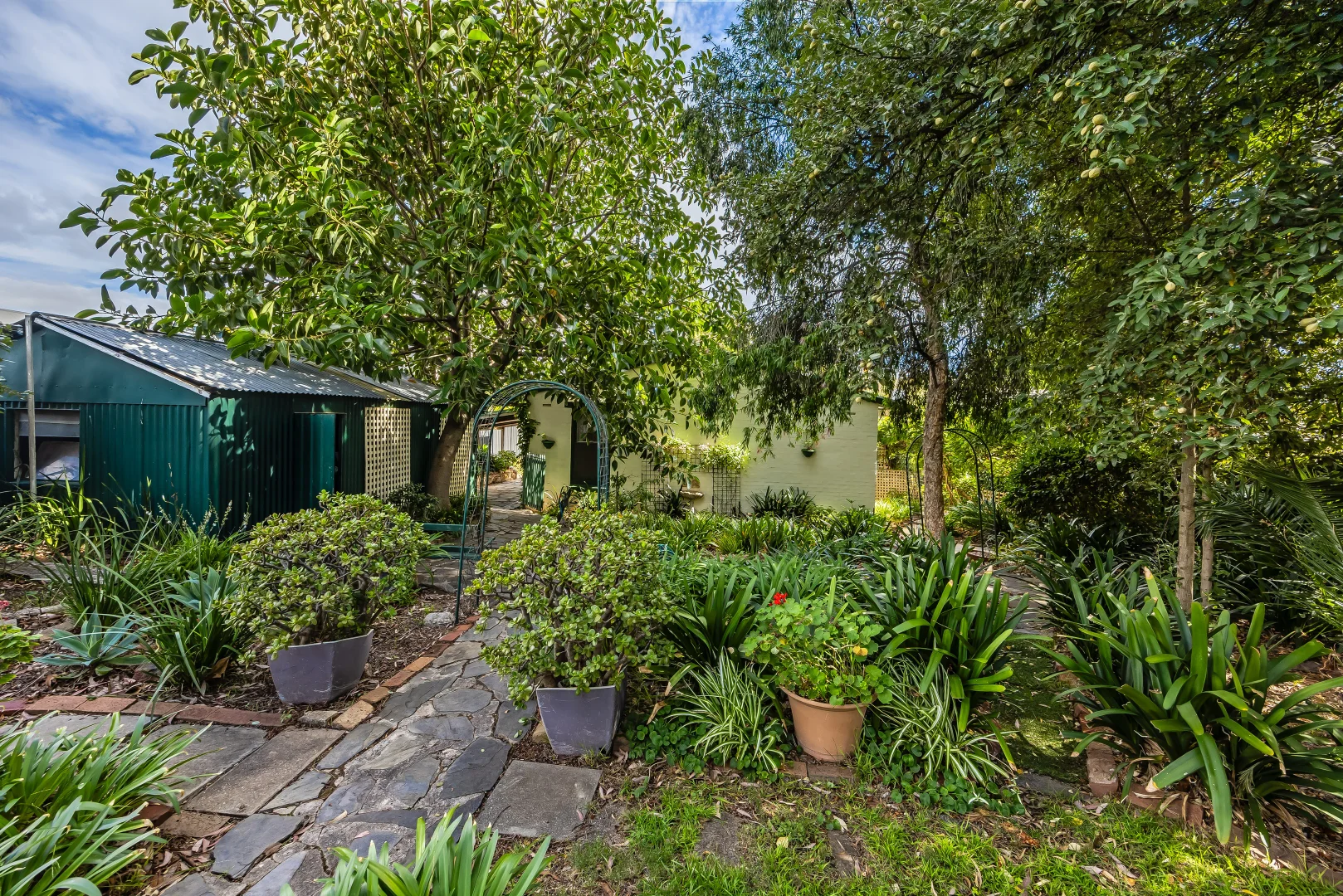 Image 4
