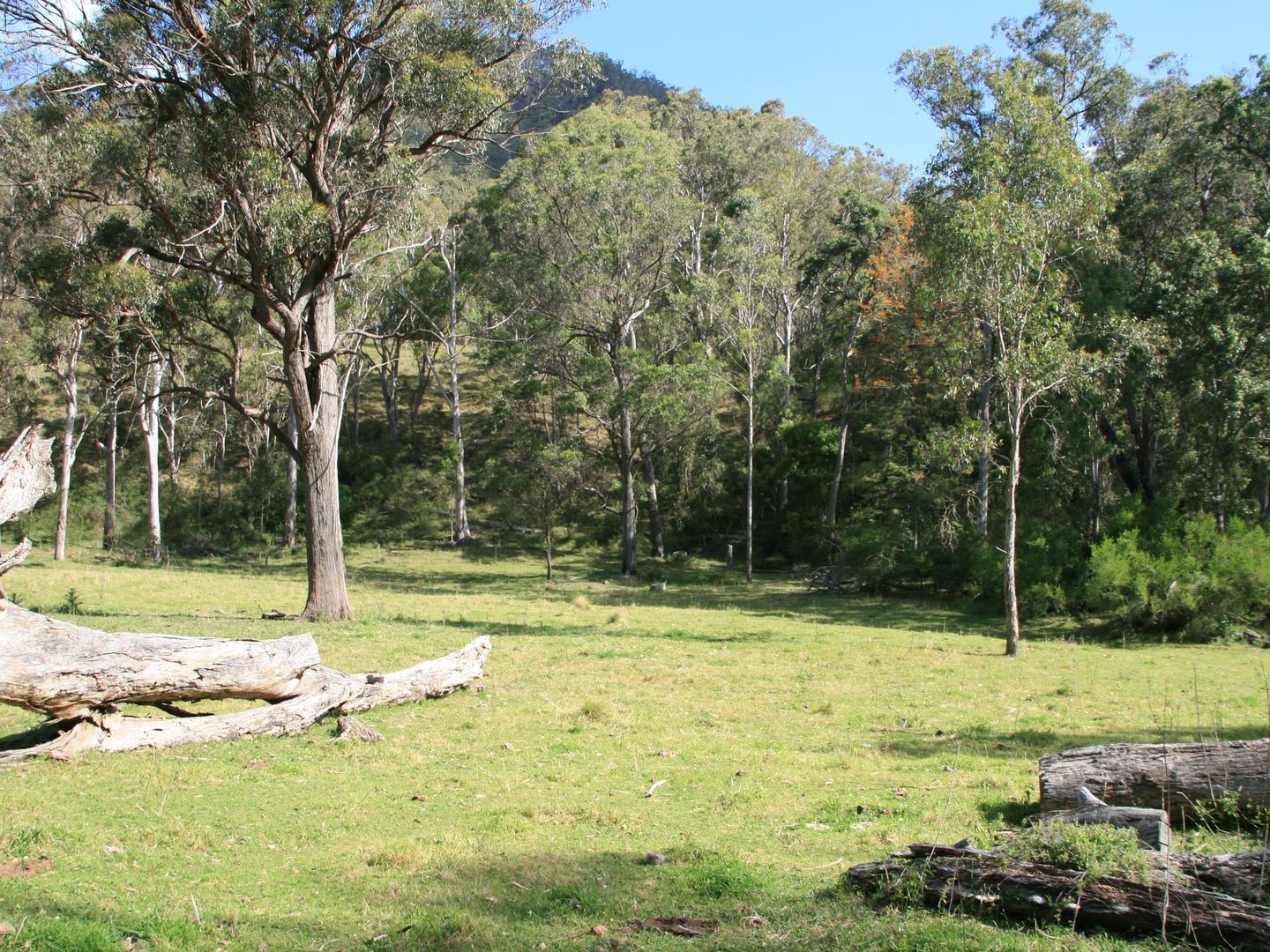 Lot 53 Bakers Road,, Mount Colliery QLD 4370, Image 2
