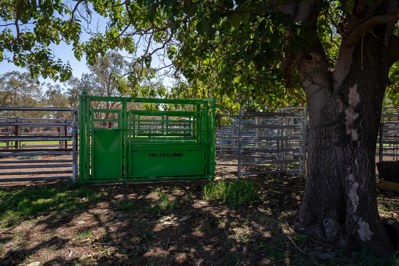 Additional image 9 of 7963 Mitchell Highway, Wellington NSW 2820