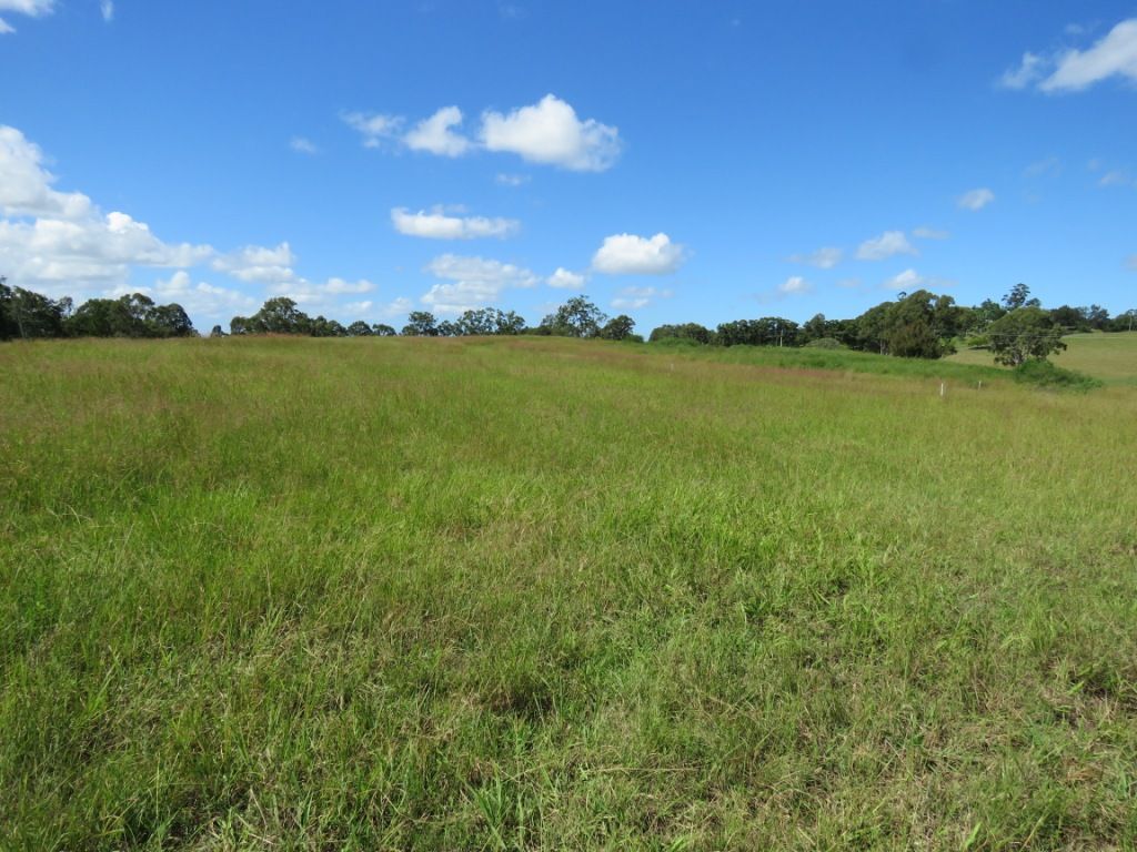 Lot 404 Lomandra Avenue, Caniaba NSW 2480, Image 2