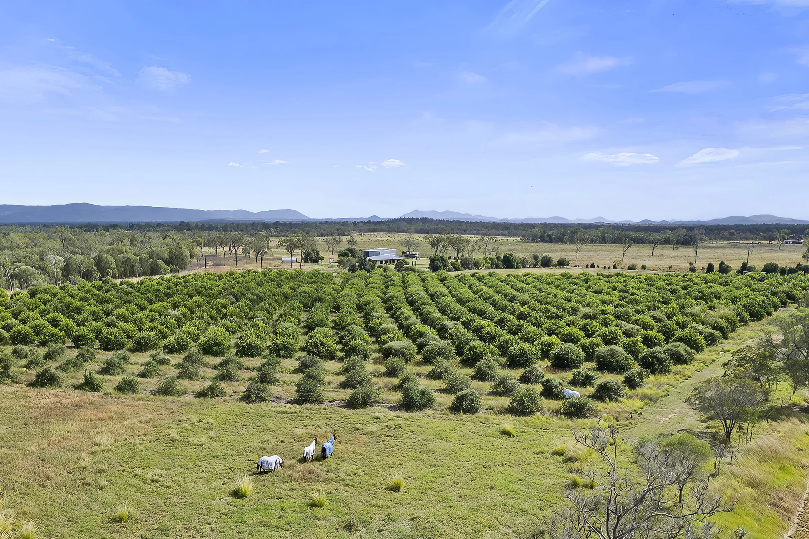 Additional image 31 of 171 Shanty Creek Road, Mareeba QLD 4880