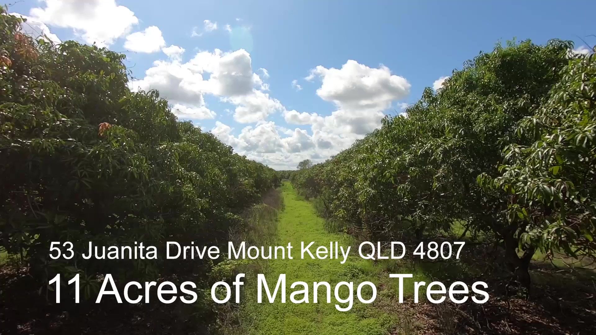 53 Juanita Drive, Mount Kelly QLD 4807, Image 1