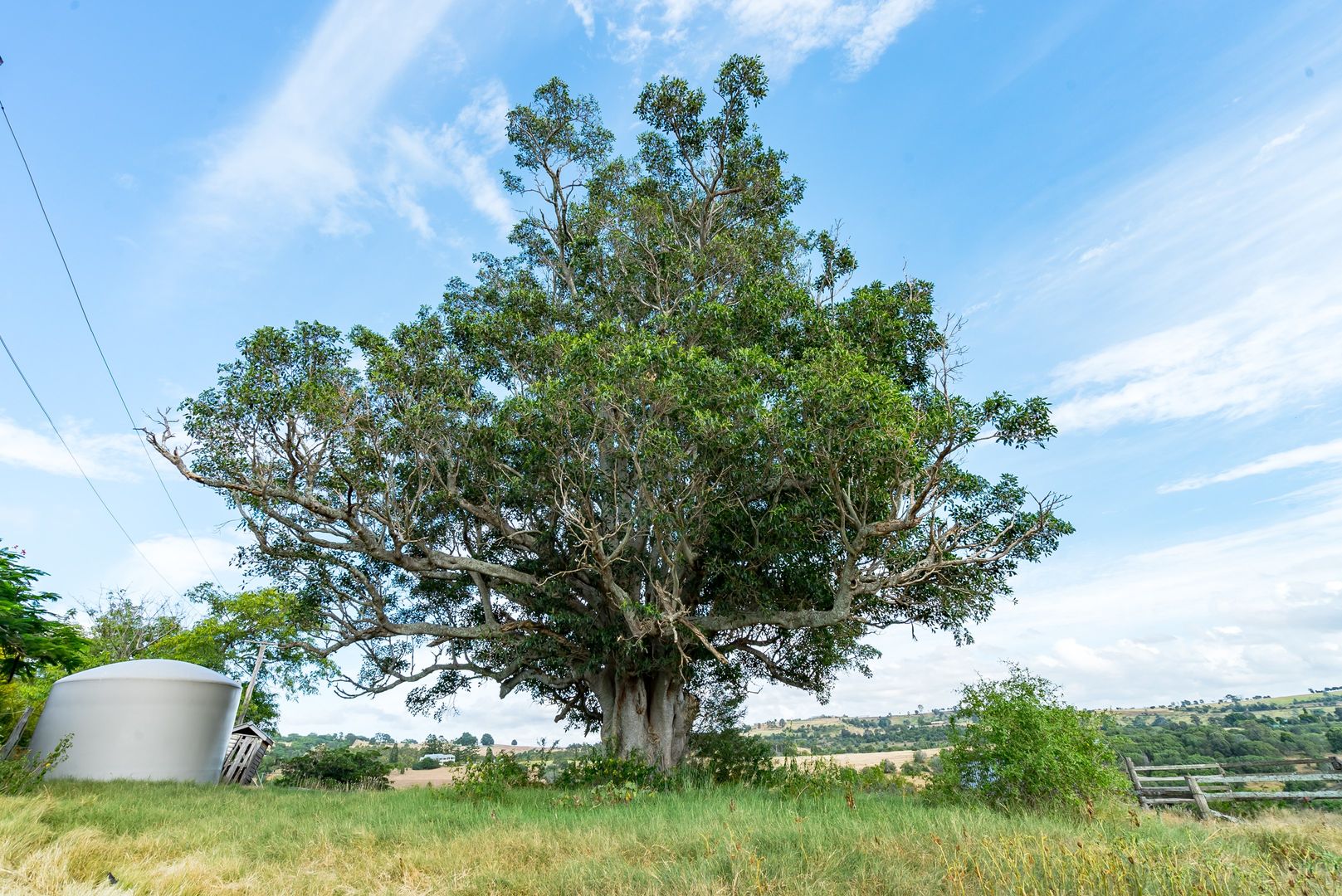 Lot 509 87-127 Schubels Road, Marburg QLD 4346, Image 2