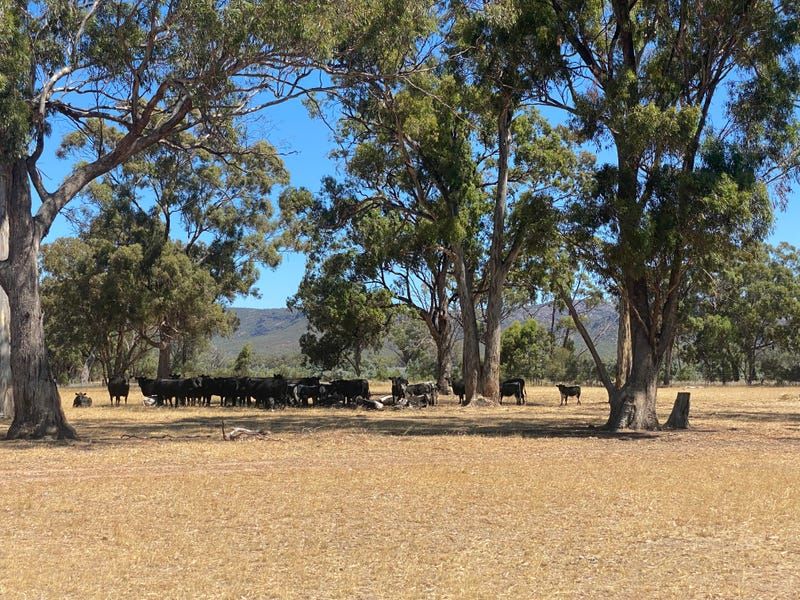 Lot 2 Wonwondah-Dadswells Bridge Road, Laharum VIC 3401, Image 0