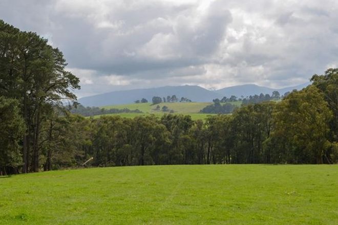 Picture of 595 Sheepstation Creek Road, YELLINGBO VIC 3139