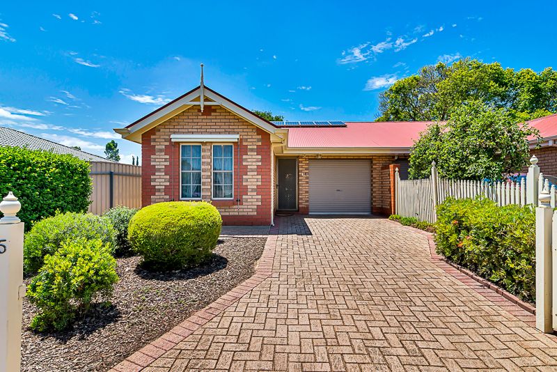 5 Wyn Street, Campbelltown SA 5074, Image 0