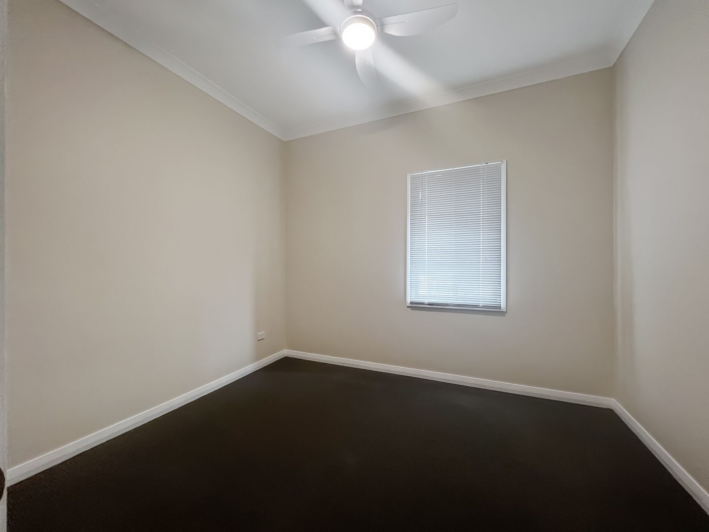 55a Isabella Street, Wingham NSW 2429 Apartment For Rent Domain