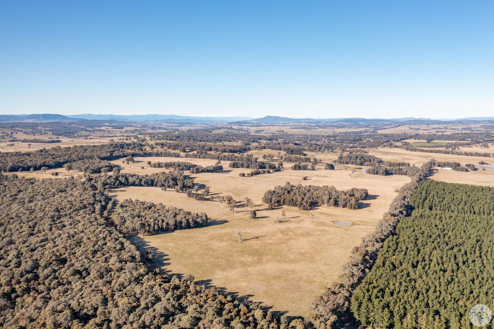 3 bedrooms Rural in 89 Rosewood Hills Rd TUMBARUMBA NSW, 2653