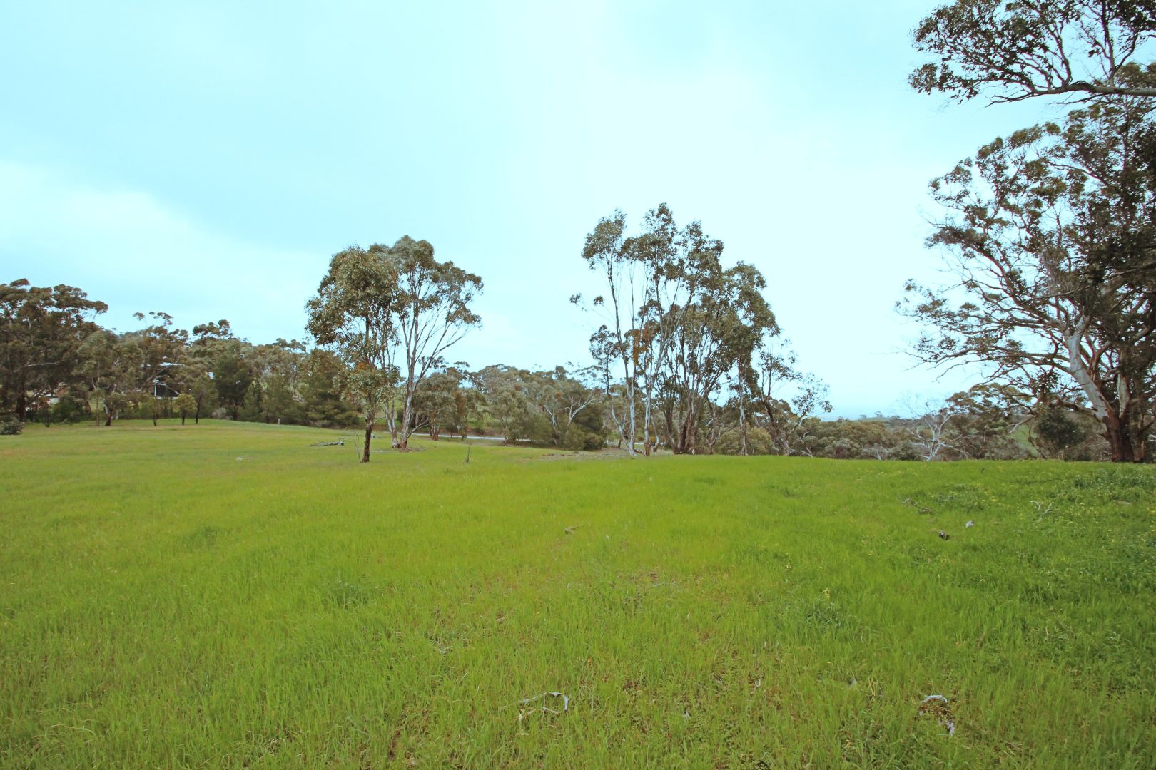 Lot 2 Boconnoc Park Road, Armagh SA 5453, Image 1