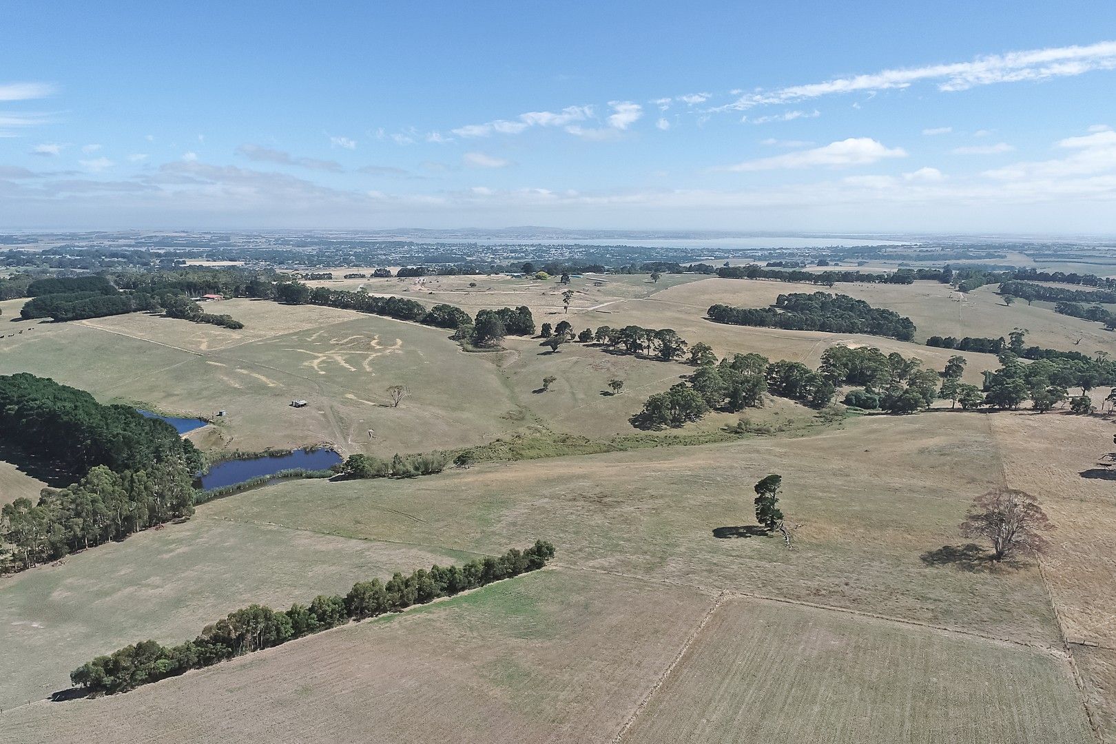 3 bedrooms Acreage / Semi-Rural in 40 Holts Road ELLIMINYT VIC, 3250