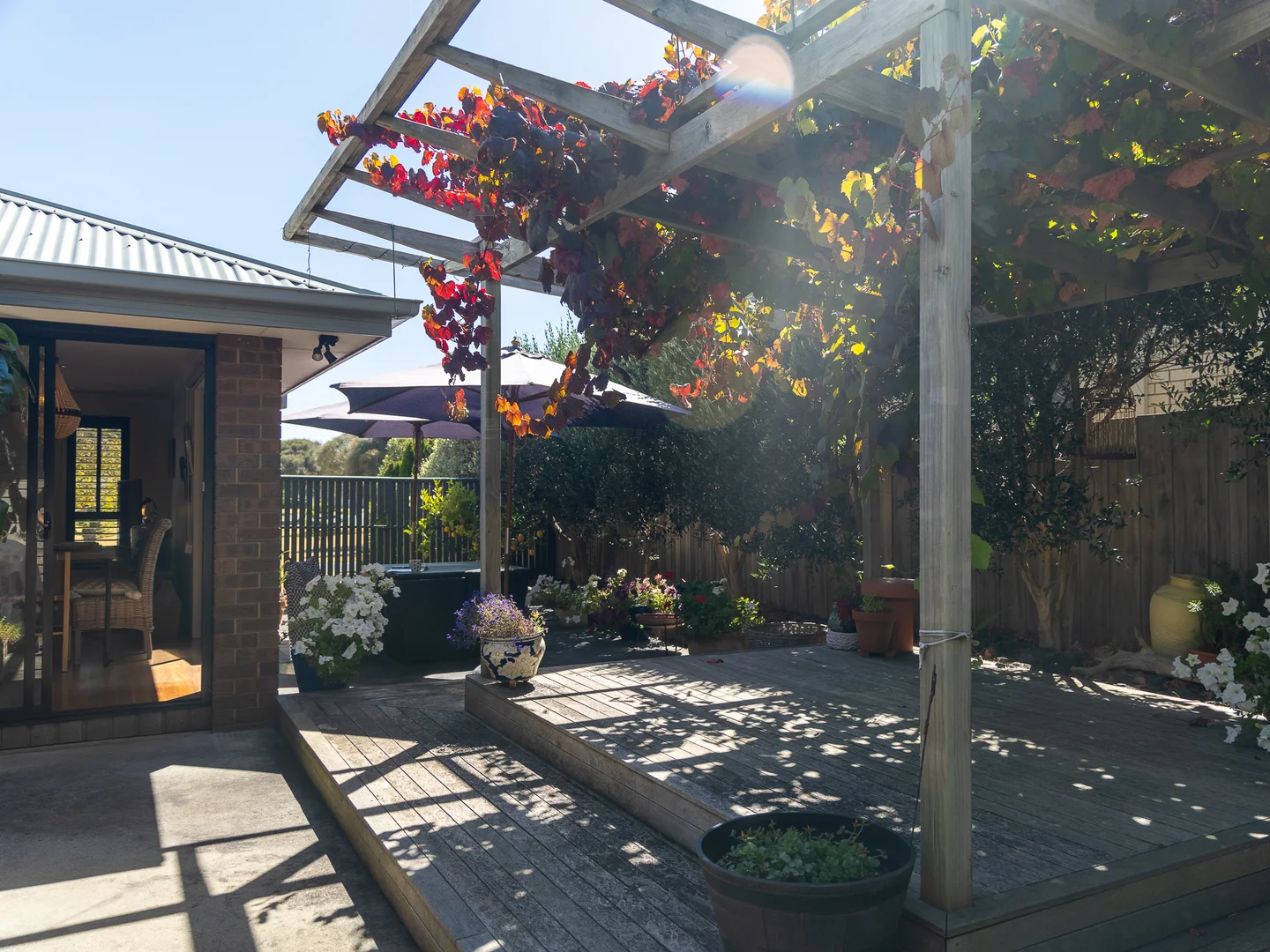 Image 20