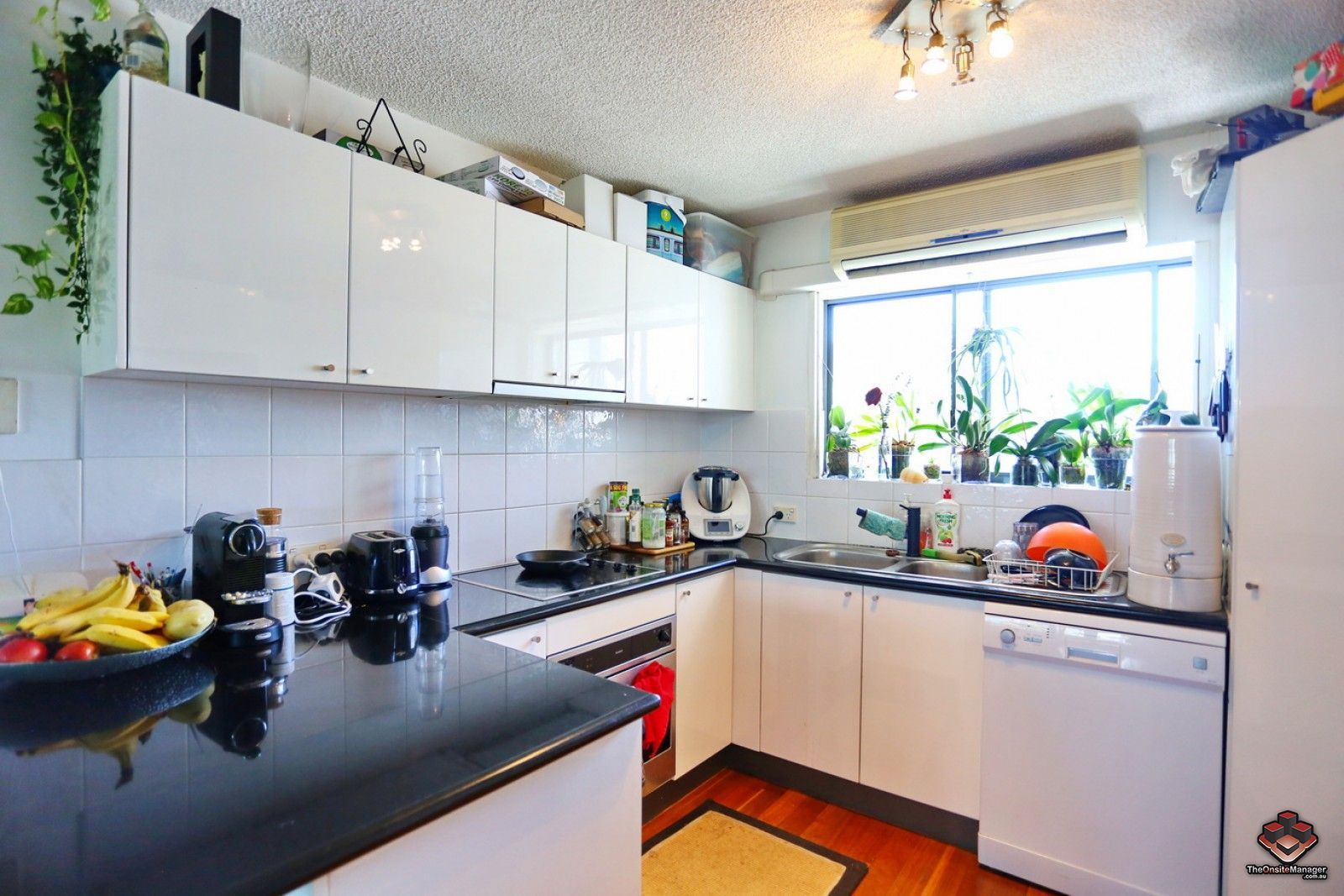 2 bedrooms Apartment / Unit / Flat in ID:21103591/7 Landsborough Terrace TOOWONG QLD, 4066
