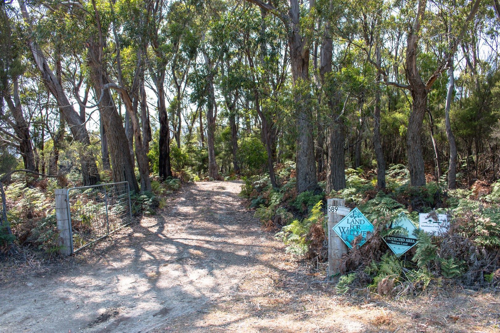 589 Cloudy Bay Road, South Bruny TAS 7150, Image 1