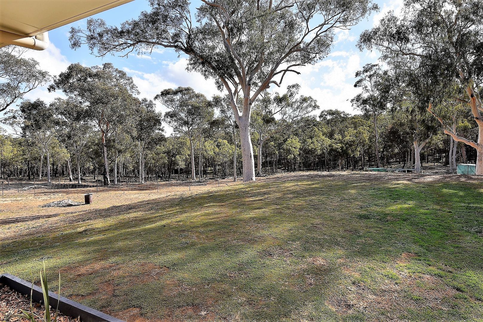 5716 Putty Rd, Howes Valley NSW 2330, Image 2