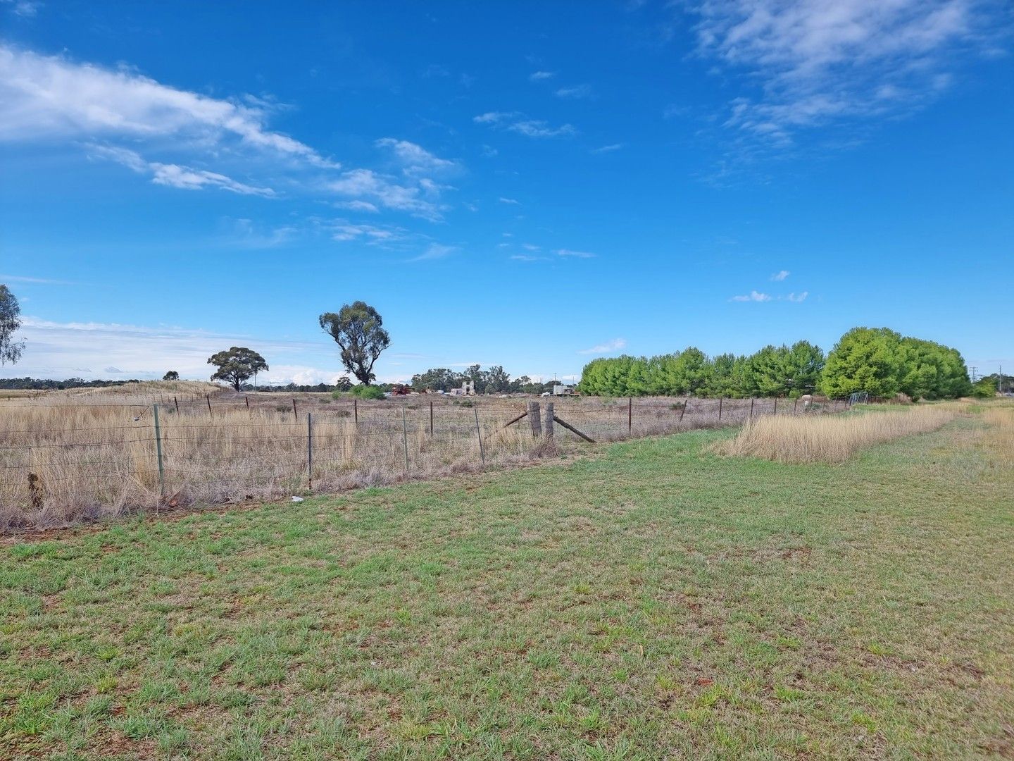 300 Calarie Road, Forbes NSW 2871, Image 2