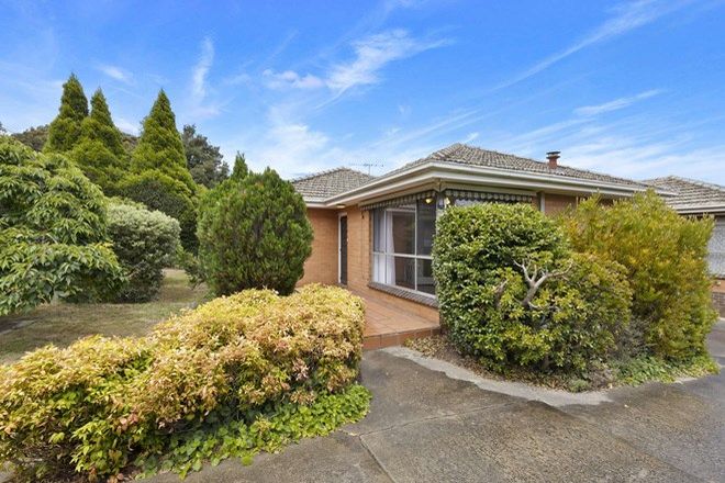 369 Apartments For Rent In Balwyn Vic 3103 Domain