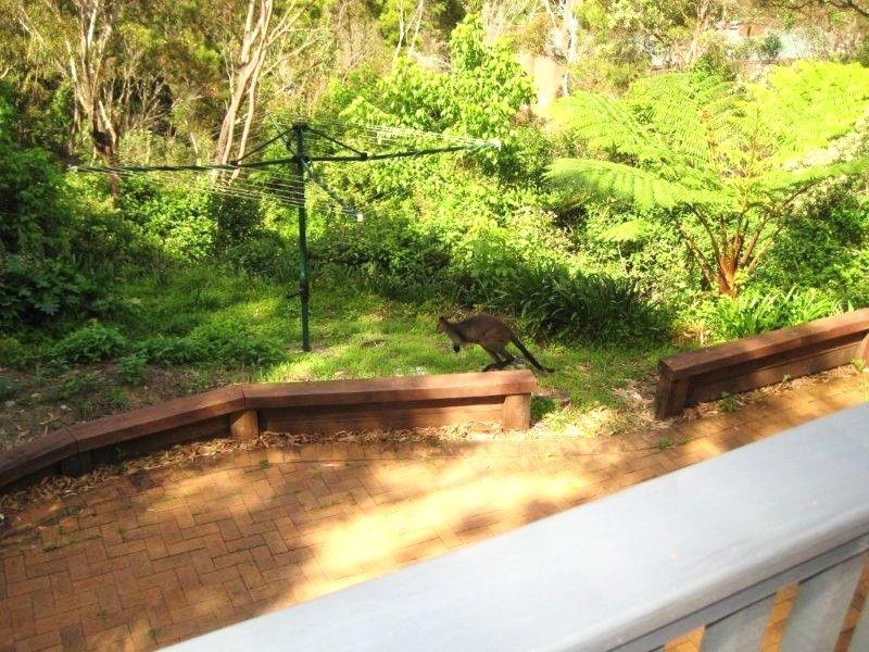 1 bedrooms Studio in 1/1 Sir Thomas Mitchell Drive DAVIDSON NSW, 2085