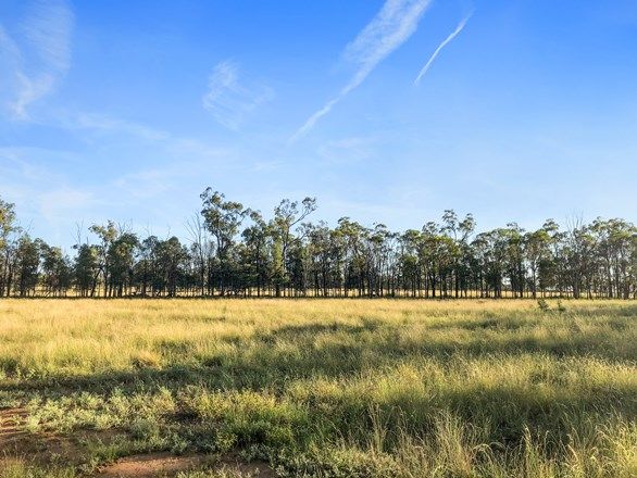 Picture of 770 BESTS ROAD, DRILLHAM SOUTH QLD 4424