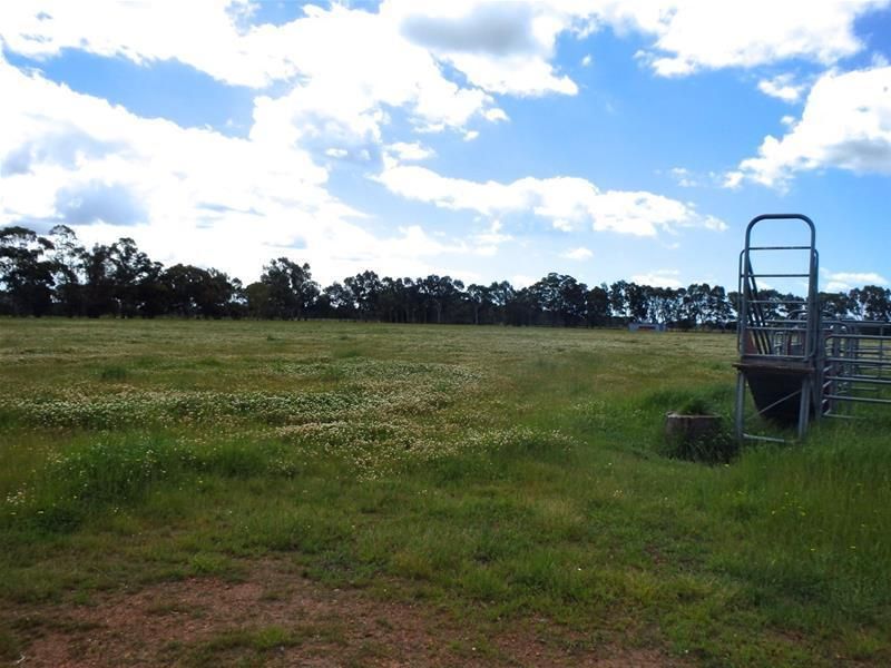 Lot 4 Gibbings Road, Coolup WA 6214, Image 1