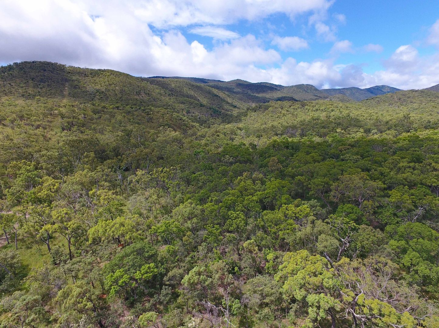 Lot 37 Oaky Valley Ave, Mutchilba QLD 4872, Image 2