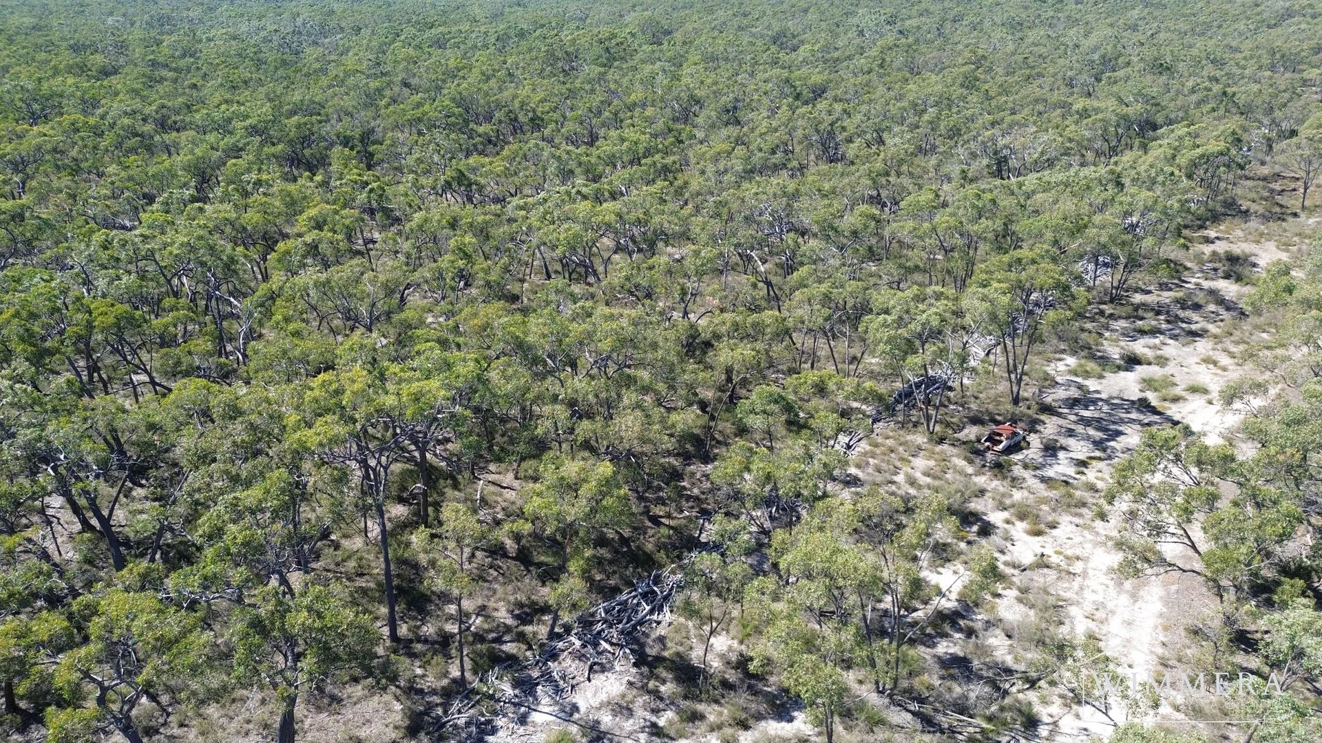 Image 15