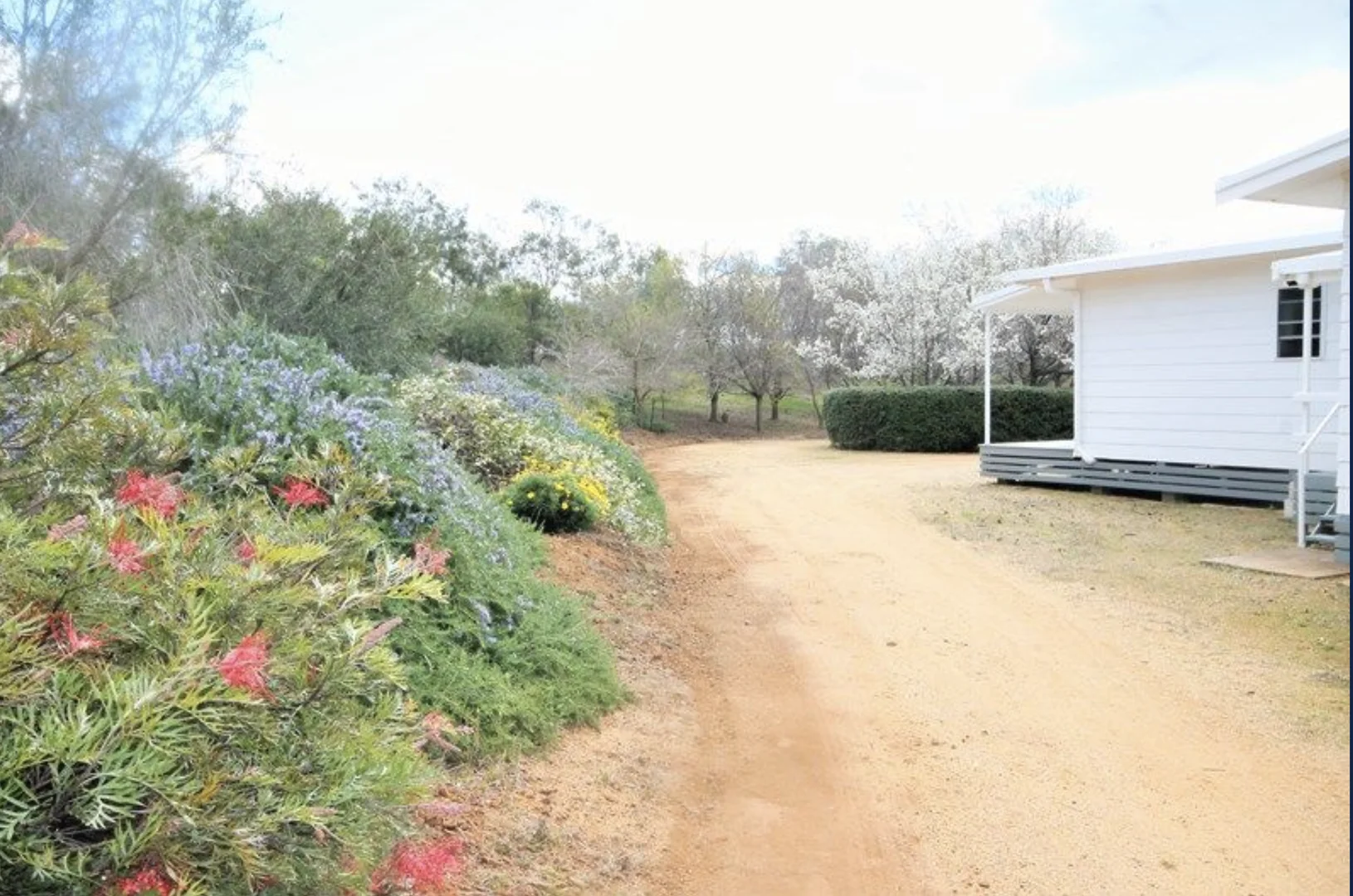 Image 12