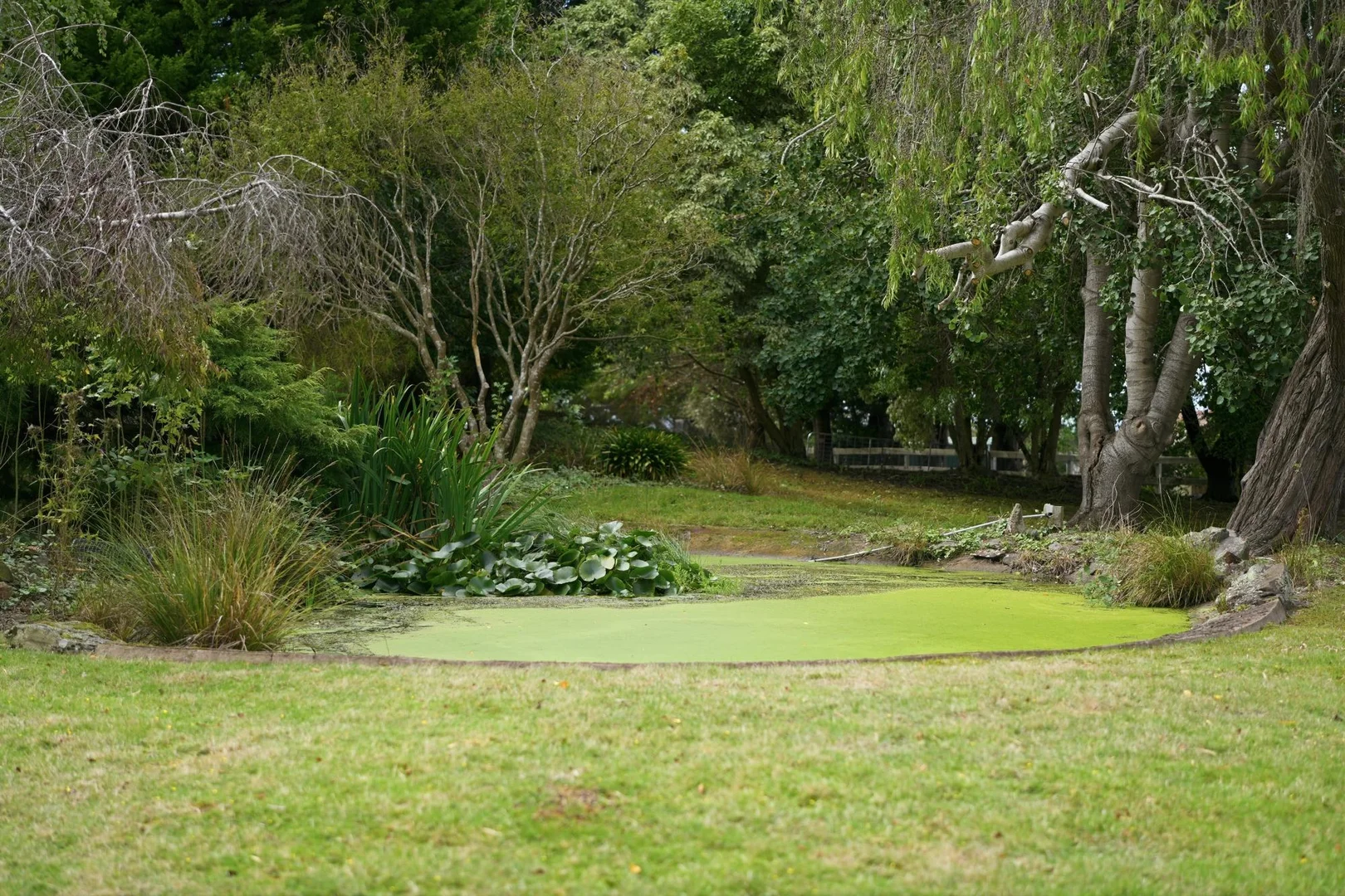 Additional image 24 of 21 Alpine Crescent, Grindelwald TAS 7277