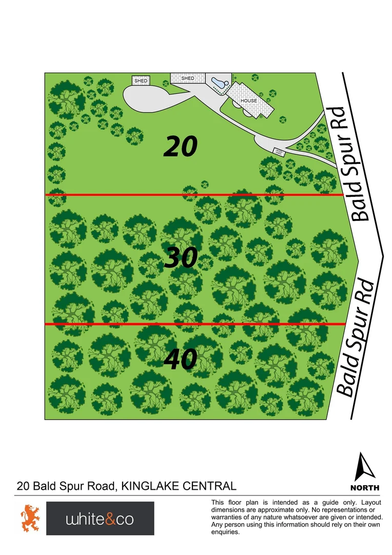 Image 22