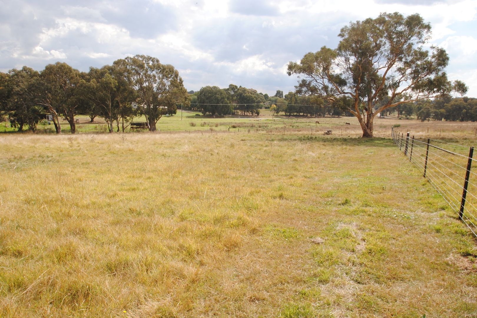 Wall Street, Cargo NSW 2800, Image 1