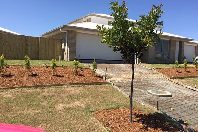 Picture of 2/5 Newbury Street, PIMPAMA QLD 4209