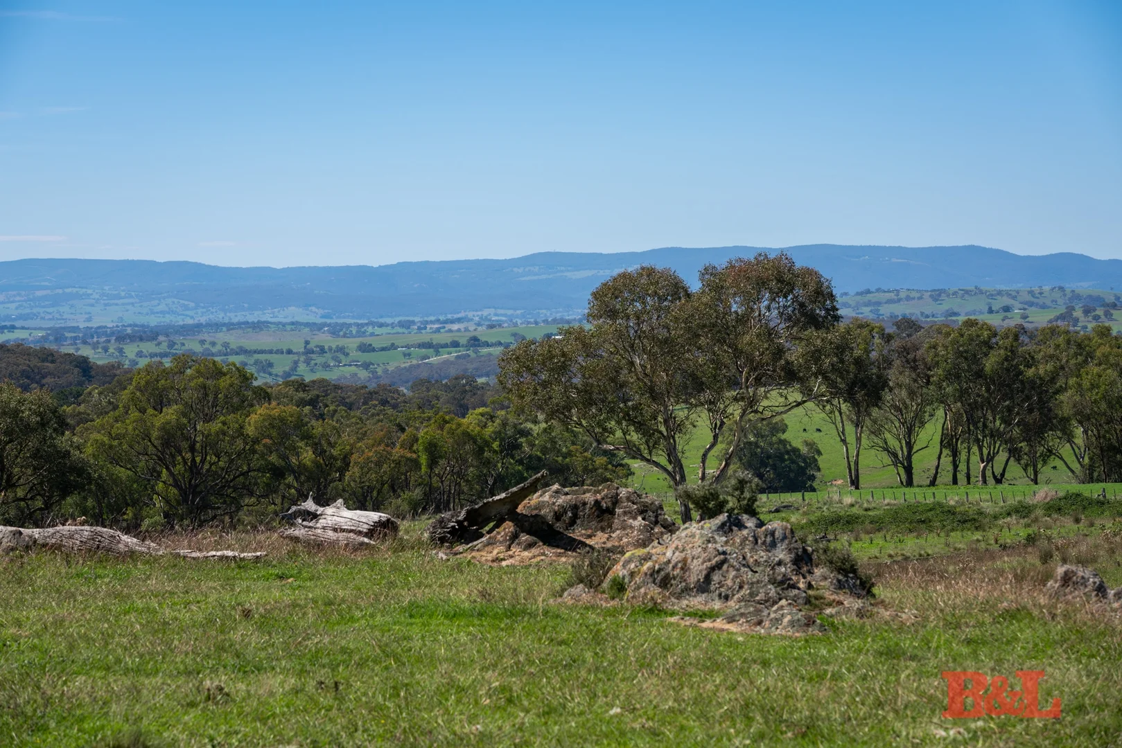 Image 17