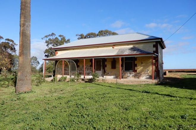 Picture of 1922 Stone Hut-caltowie Rd, CALTOWIE SA 5490