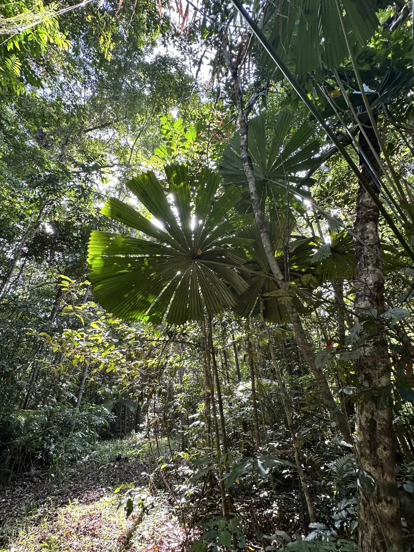 Image 18