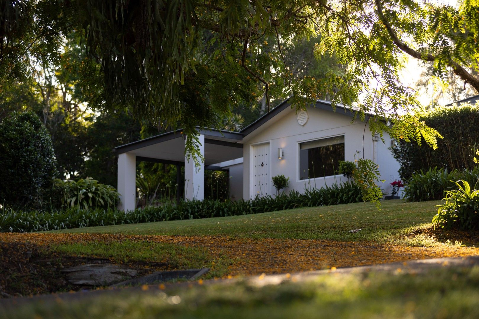 376 Western Avenue, Montville QLD 4560 Domain