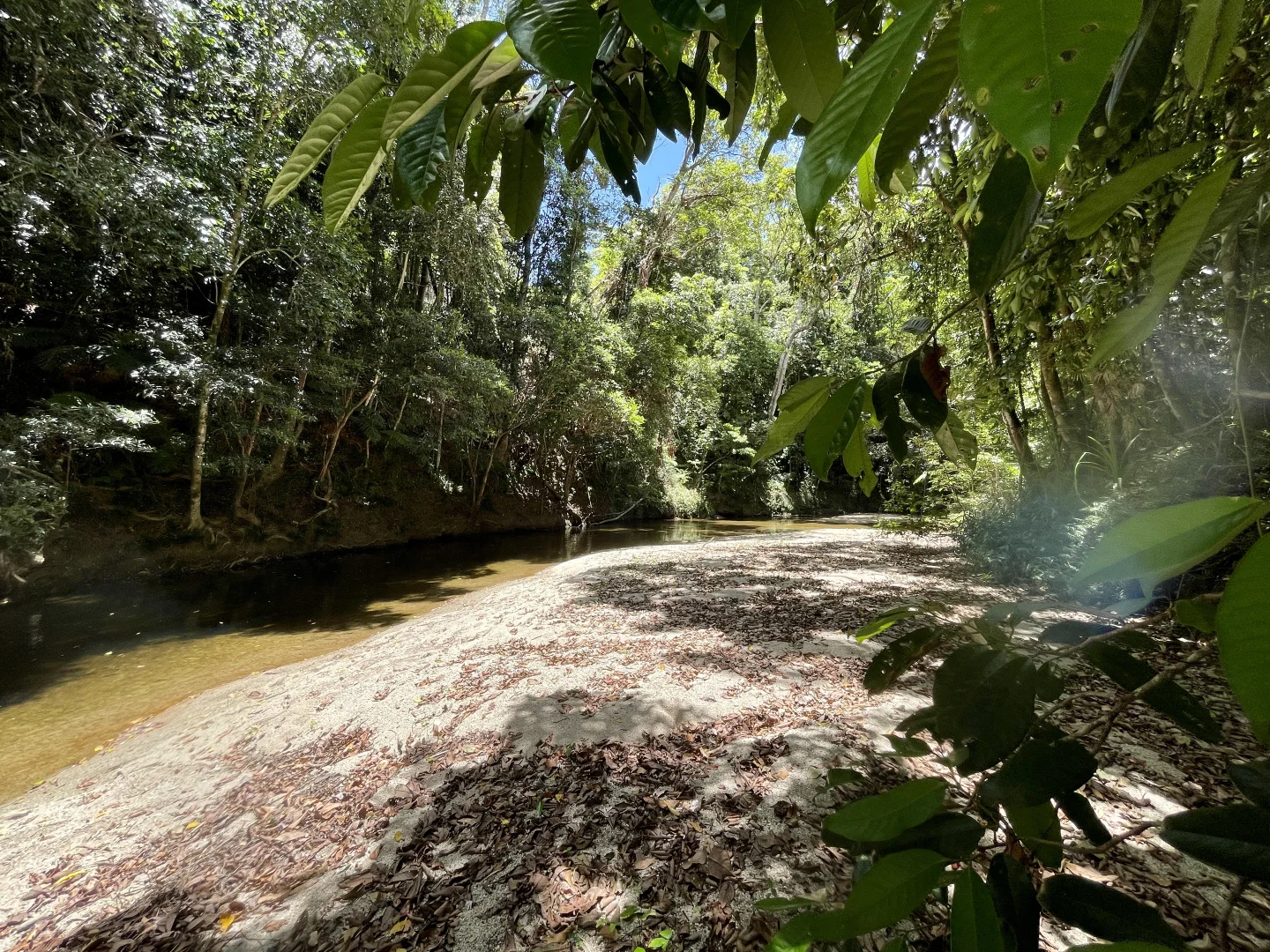 Image 12