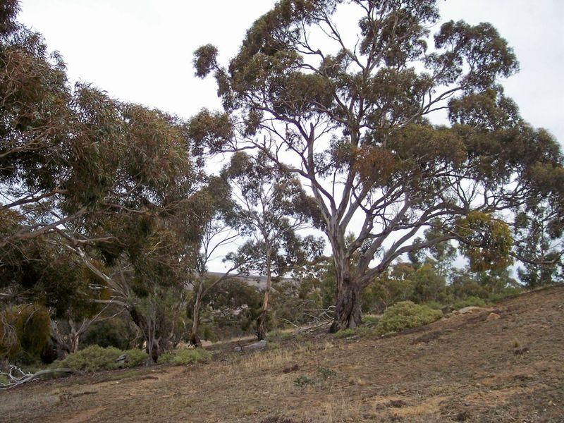 Lot 152 Myers Road, Myrniong VIC 3341, Image 1